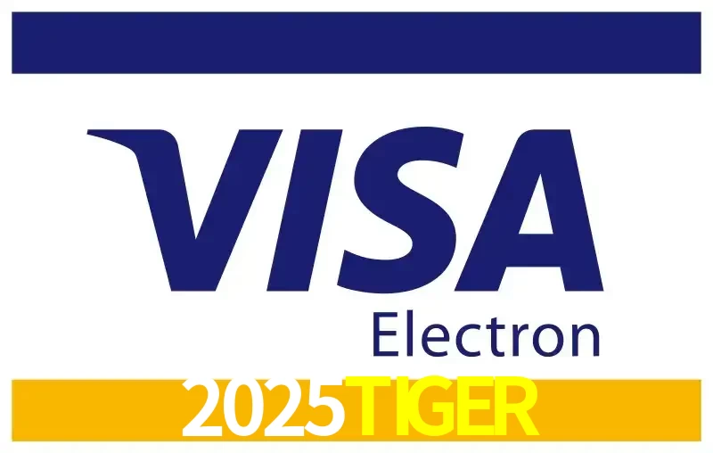 Visa Card